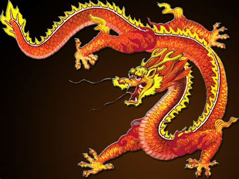 Chinese Dragon Wallpaper Free HD Backgrounds Images Pictures