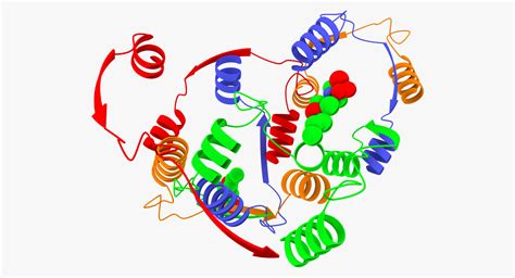 3d animation enzymes model