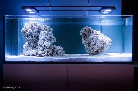 Reef Spotlight: Chris' algae farm (ELOS 160) - REEFEDITION | Reef tank ...