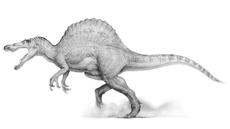 Jurassic Park 3 Concept Art - Spinosaurus by IndominusRex on DeviantArt