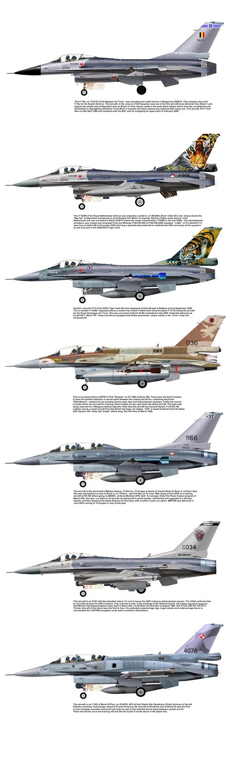 F 16 Variants