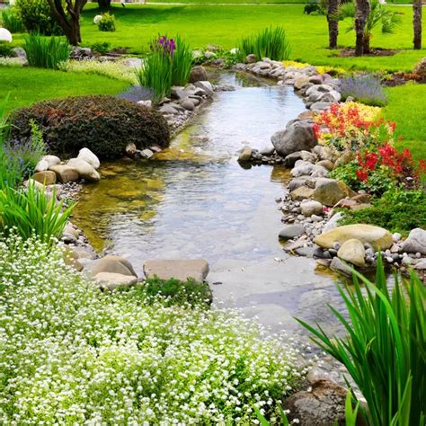 Spring flowers in the Asian garden — Stock Photo © smaglov #2078978