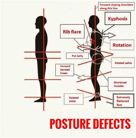 Six Posture Correction Yoga Poses - Inner Light Publishers