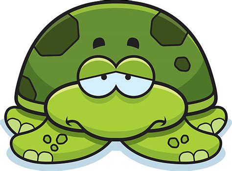 90+ Cartoon Of The Sad Turtle Illustrations, Royalty-Free Vector ...