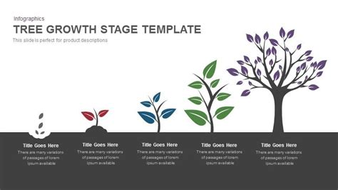 Tree Growth Stage PowerPoint Template and Keynote - Slidesbazaar