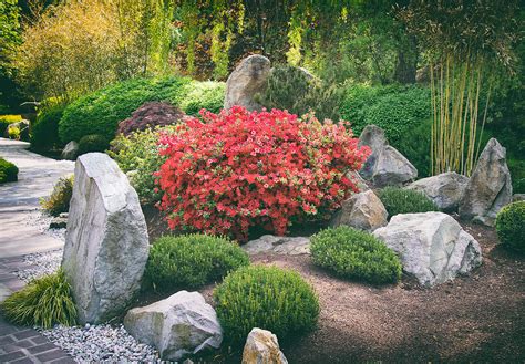 Rock-Garden-Japanese - Lewis Bamboo