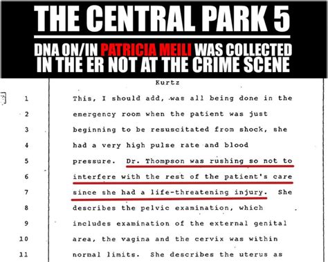 Evidence in the Central Park 5 Case Evidence Archives | Central Park 5