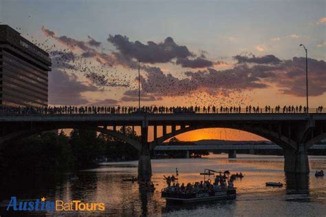 Congress Avenue Bridge Bats—A spectacular sight to see take flight ...