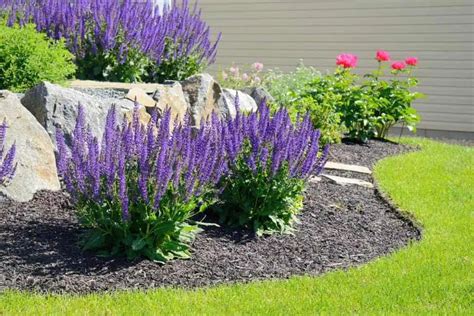 Mulch Alternatives: Here are the Top 5 Best Ones