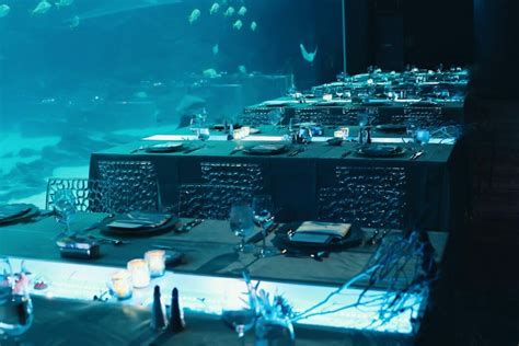 Event Venues In Atlanta Georgia | Georgia Aquarium