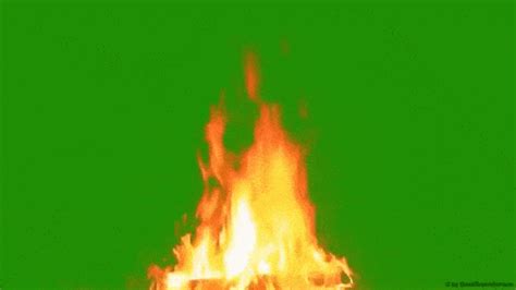 Real Fire Flame - green screen in 2023 | Green screen footage, Green ...