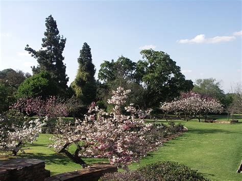 Exploring the botanical gardens in Johannesburg