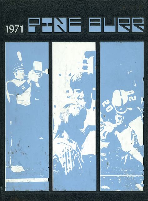 1971 yearbook from Lincolnton High School from Lincolnton, North Carolina