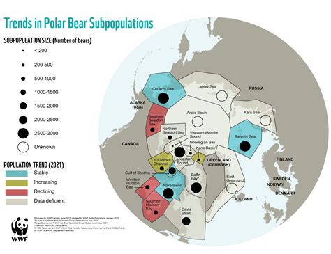 Polar bear population - WWF Arctic