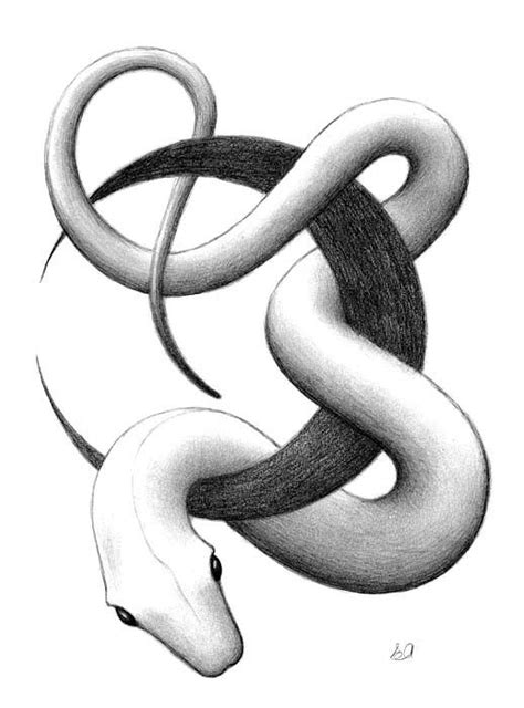 Snake Drawing by Erla Alberts - Pixels