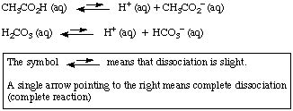 Hydrogen Carbonate Ion