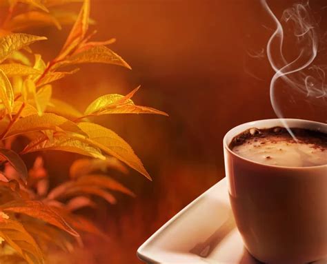 Autumn morning coffee — Stock Photo © almatea #6279794