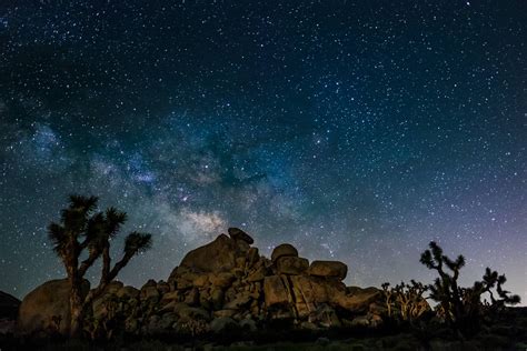 Night sky photography in Joshua Tree — Shawn Moreton Photography