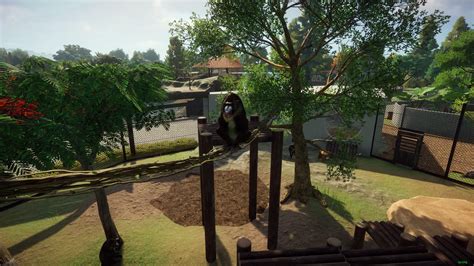 My mandrill habitat : r/PlanetZoo