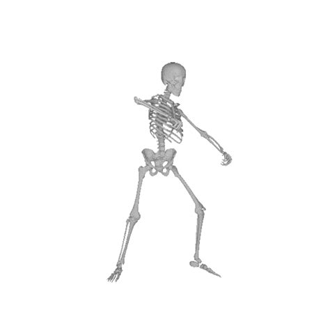 Dancing Skeleton Gif - Skeleton dances dancing shadow scary happy ...