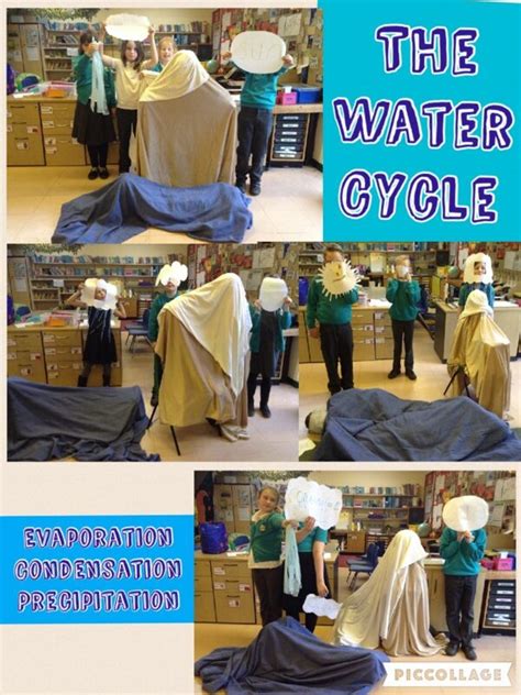 Human water-cycle! | Roseberry Academy