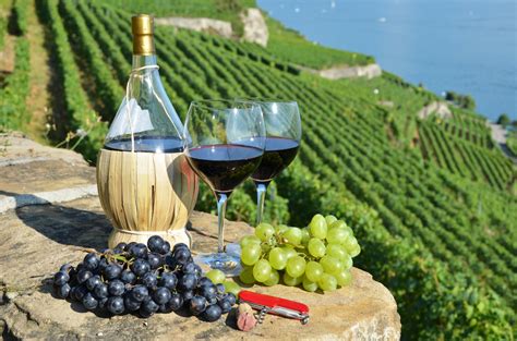 Wine tour from Slano hotels or Marina - Dubrovnik Daily Trips