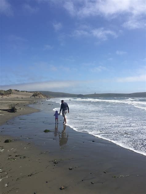 bodega bay hiking – johnrieber