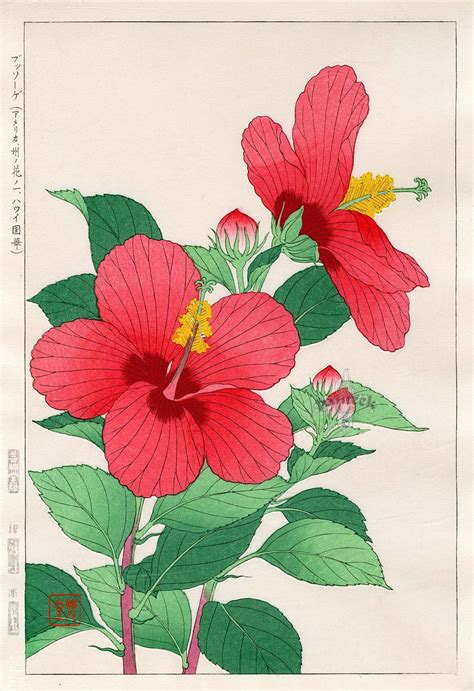 Hibiscus Print A5 Flower Line A4 Pink Flower Print Art Drawing ...