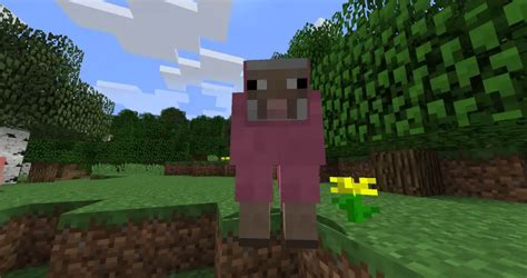 Pink Sheep Forest - Minecraft Seeds