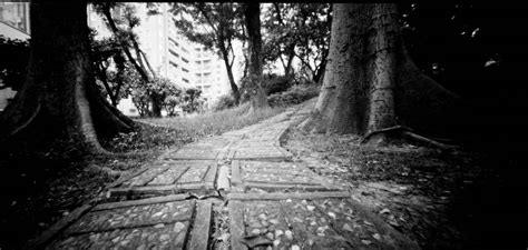 38 Original Pinhole Camera Images That Demand Attention