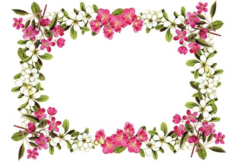 Png Flower Border - ClipArt Best