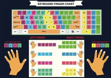 Touch Typing Techniques - Finger Chart Diagram | Typing tutorial ...