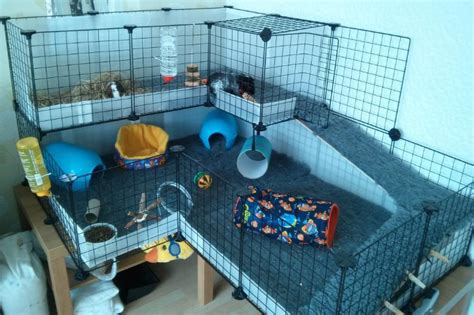 Why Extra Large Guinea Pig Cages Indoor Matters to Your Guinea Pig ...