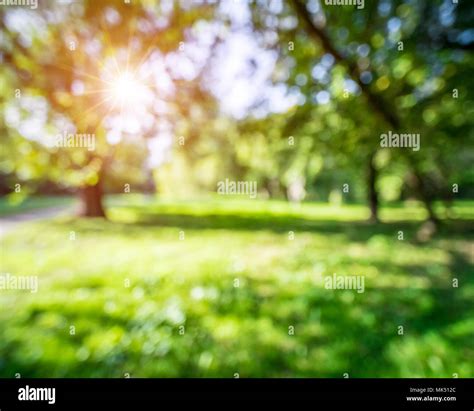 Bokeh nature background Stock Photo - Alamy