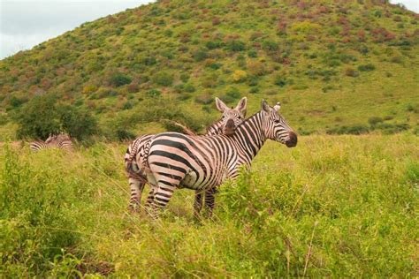 12 things to do in Taita Taveta County For first timers - JustRioba