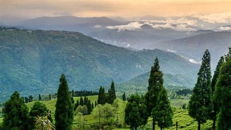 6 Incredible Things To Do In Kalimpong While Your Visit (2019)