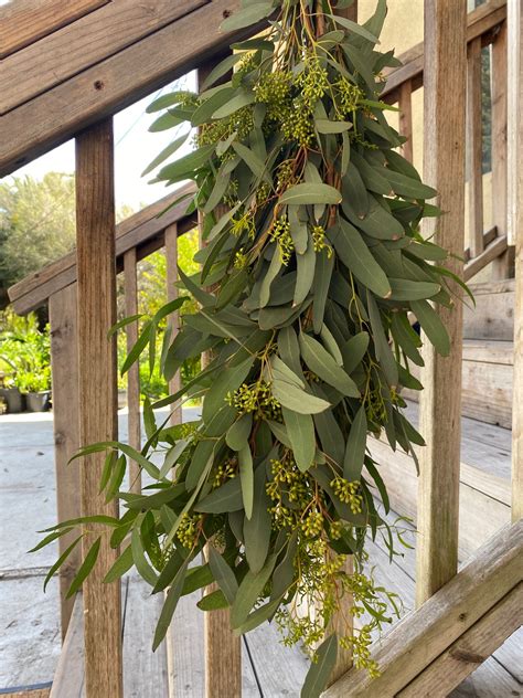 Fresh Eucalyptus Seeded Garland Wedding Garland Home Decor - Etsy