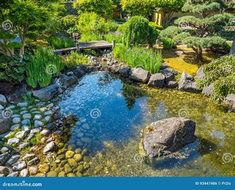 Japanese Garden Design with Water Stream and Bridge Stock Photo - Image ...