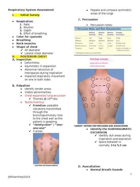 Respiratory System Assessment