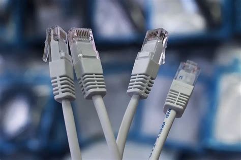 Do Ethernet Cable Brands Matter? [Top Brands Compared]