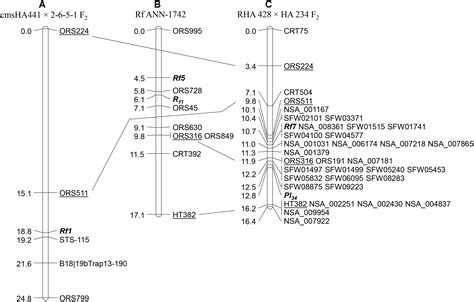 11-5 Linkage And Gene Maps - State Coastal Towns Map