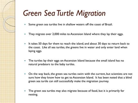 PPT - Sea Turtle Migration PowerPoint Presentation, free download - ID ...