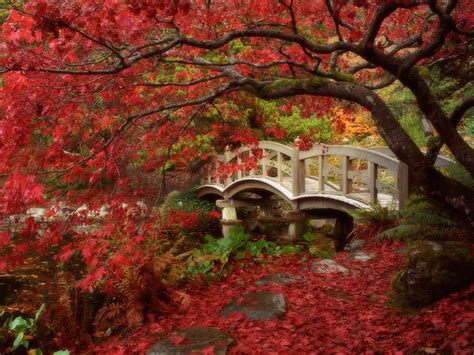 Beautiful Kyoto Gardens – Japan – World for Travel