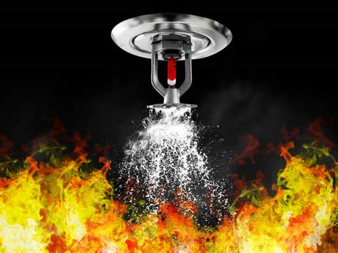 Licensing requirements fire sprinkler design - leqwerdial