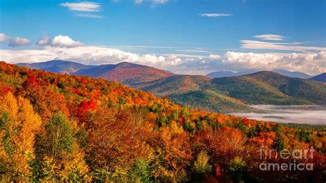 White Mountains fall foliage Photograph by Michael McCormack - Pixels