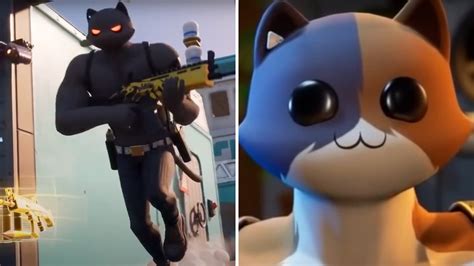 The Buff Cat From 'Fortnite' Explained | Cracked.com