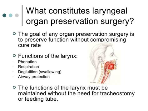 Organ Preservation Surgery For Laryngeal Cancer