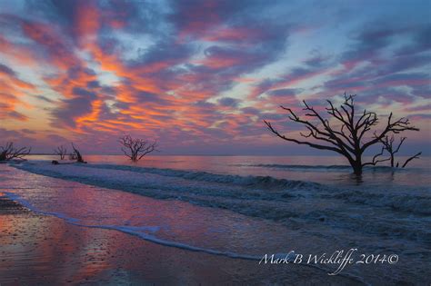 the beach is covered in water and trees