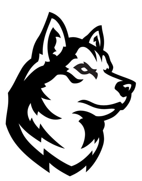 Northeastern unveils new athletics logos - News @ Northeastern