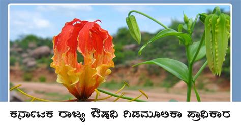 Karnataka Medicinal Plants Authority